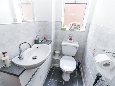 Picture 21